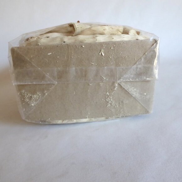 NEW 4” 80 PIECES DRIED NATURAL DECORATIVE BLEACHED CAULIFLOWER ROOT JAR FILLER - Picture 8 of 9